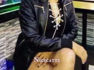 Nicecattx