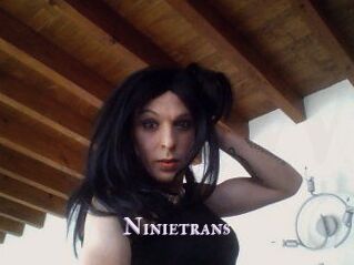 Ninietrans