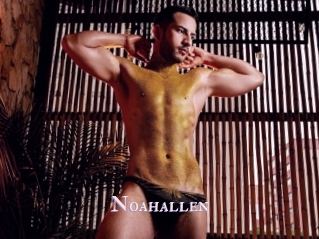 Noahallen