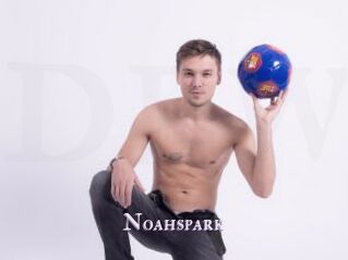Noahspark