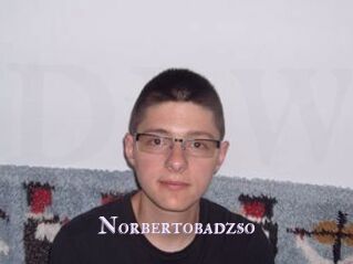 Norbertobadzso