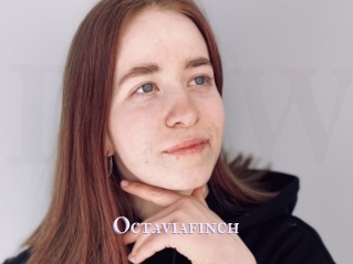 Octaviafinch