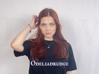 Odeliadrudge