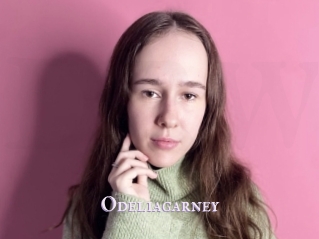 Odeliagarney