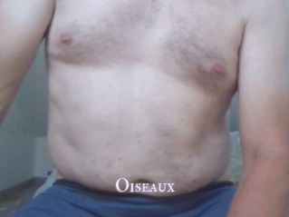 Oiseaux