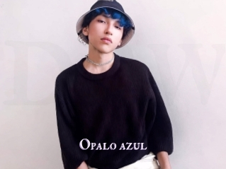 opalo_azul X Drow