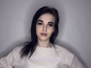 Orvafugler