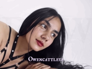 Owencattleya