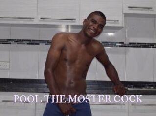 POOL_THE_MOSTER_COCK