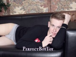 PerfectBoyToy