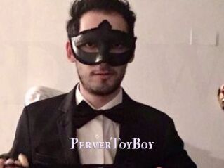 PerverToyBoy
