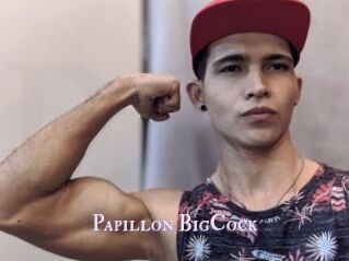 Papillon_BigCock