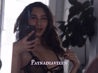 Paynadiavixen