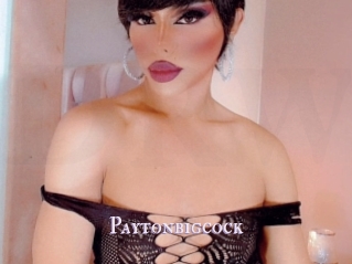 Paytonbigcock