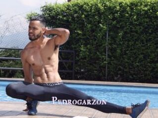 Pedrogarzon
