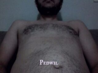 Pedwil