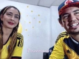 Pegasso_love