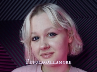Petulagallamore