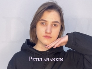 Petulahankin