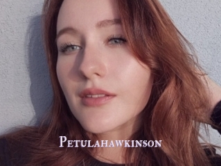 Petulahawkinson