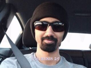 Pig_benis_25