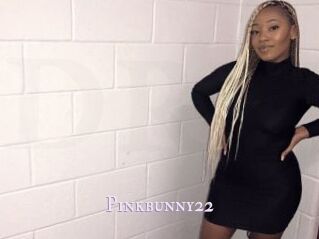 Pinkbunny22