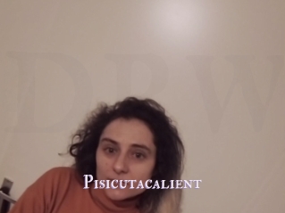 Pisicutacalient