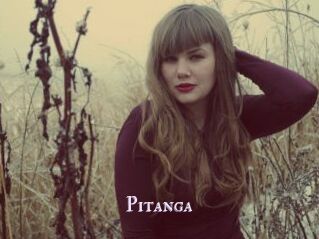 Pitanga