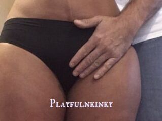 Playfulnkinky