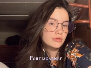 Portiagarney