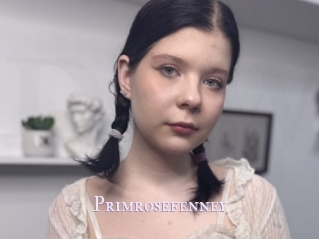 Primrosefenney