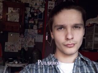 Pulseboy