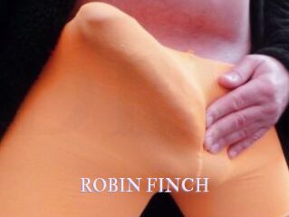 ROBIN_FINCH