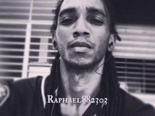 Raphael882303