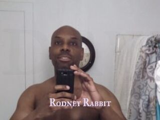 Rodney_Rabbit