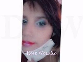 Rose_WolfXo