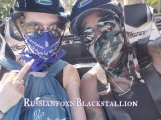 RussianfoxnBlackstallion