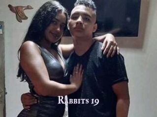 Rabbits_19
