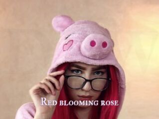 Red_blooming_rose
