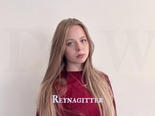 Reynagitter