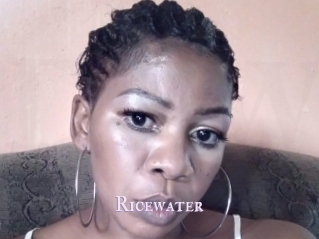 Ricewater
