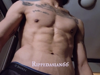 Rippedasian66