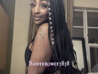 Sassyeboney3838