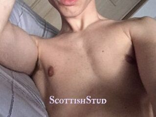 Scottish_Stud