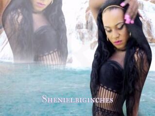 Shenielbiginches