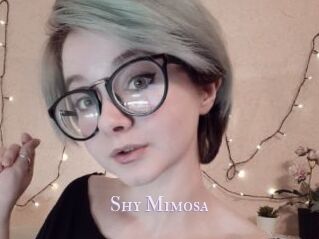 Shy_Mimosa
