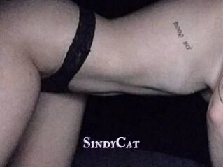 SindyCat