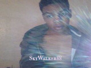 SkyWalker88