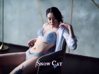 Snow_Cat