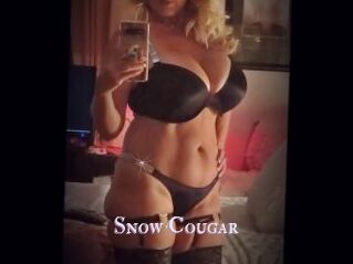 Snow_Cougar